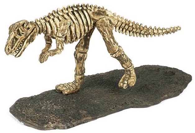 KIDDY-MOOV – Großhandel Spielfigur – Kinder – 🦖 DIE WELT DER DINOSAURIER – Dino-Fossil (6 verschiedene Modelle)10
