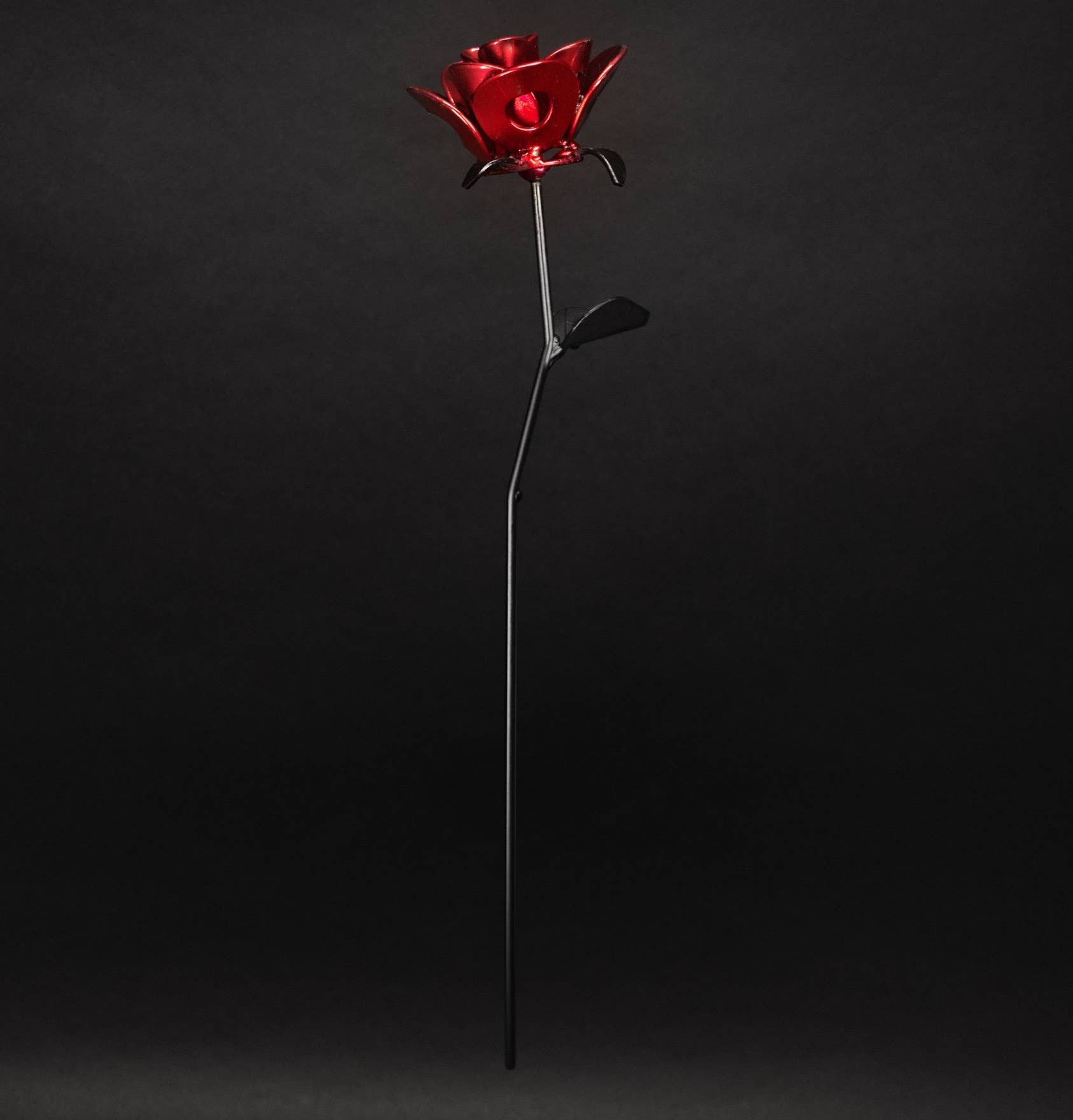 Metal Relic - Wholesale Artificial Flowers - Red and Black Single Immortal Rose Individually Packed6