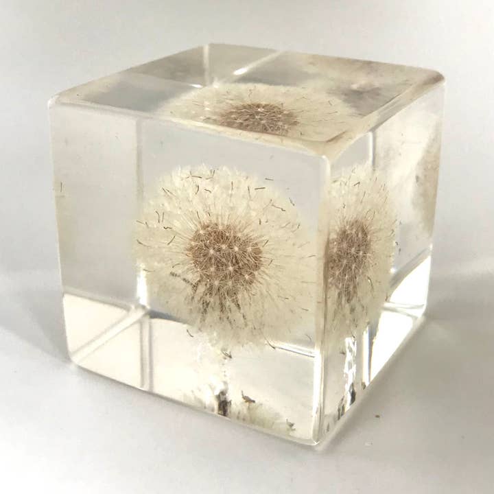 Botanical Resin LG Cube Paper Weight for wholesale by Belart Fair Trade
