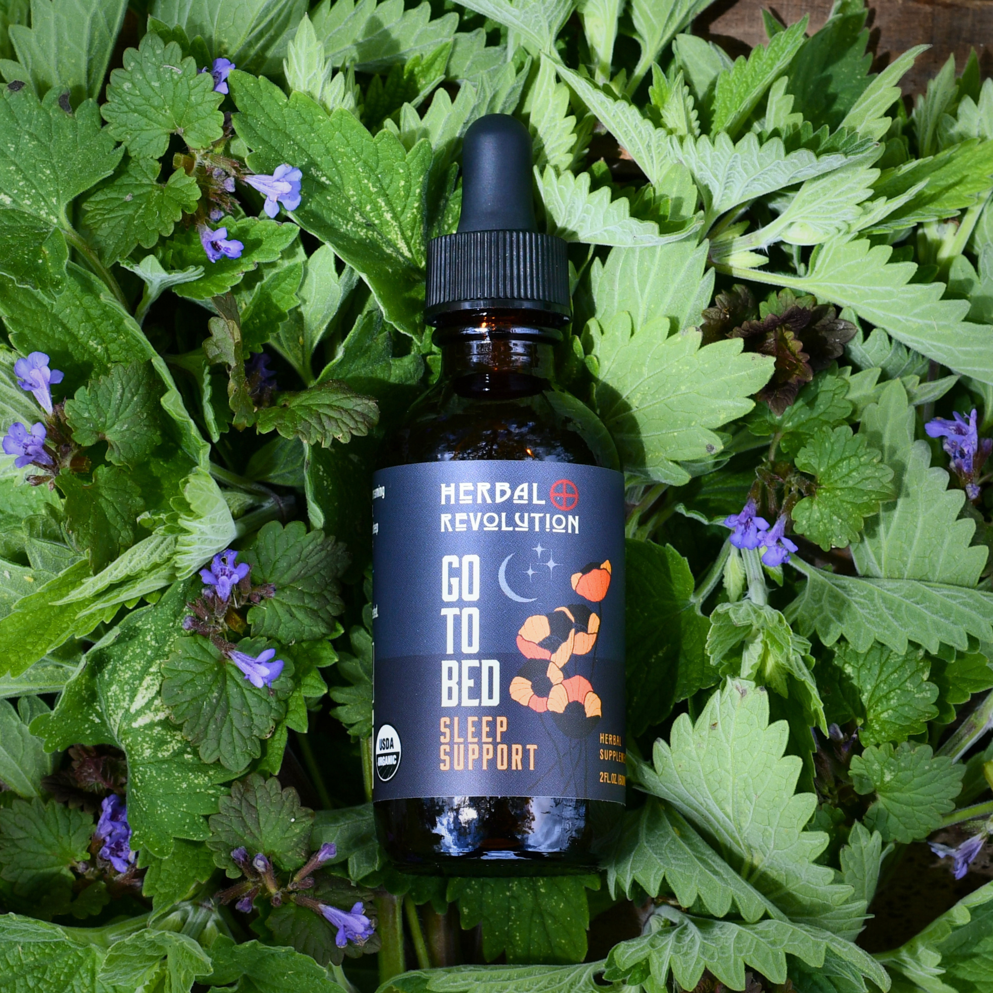 Herbal Revolution Farm + Apothecary - Vente Teinture - Va au lit : Élixir de sommeil profond5