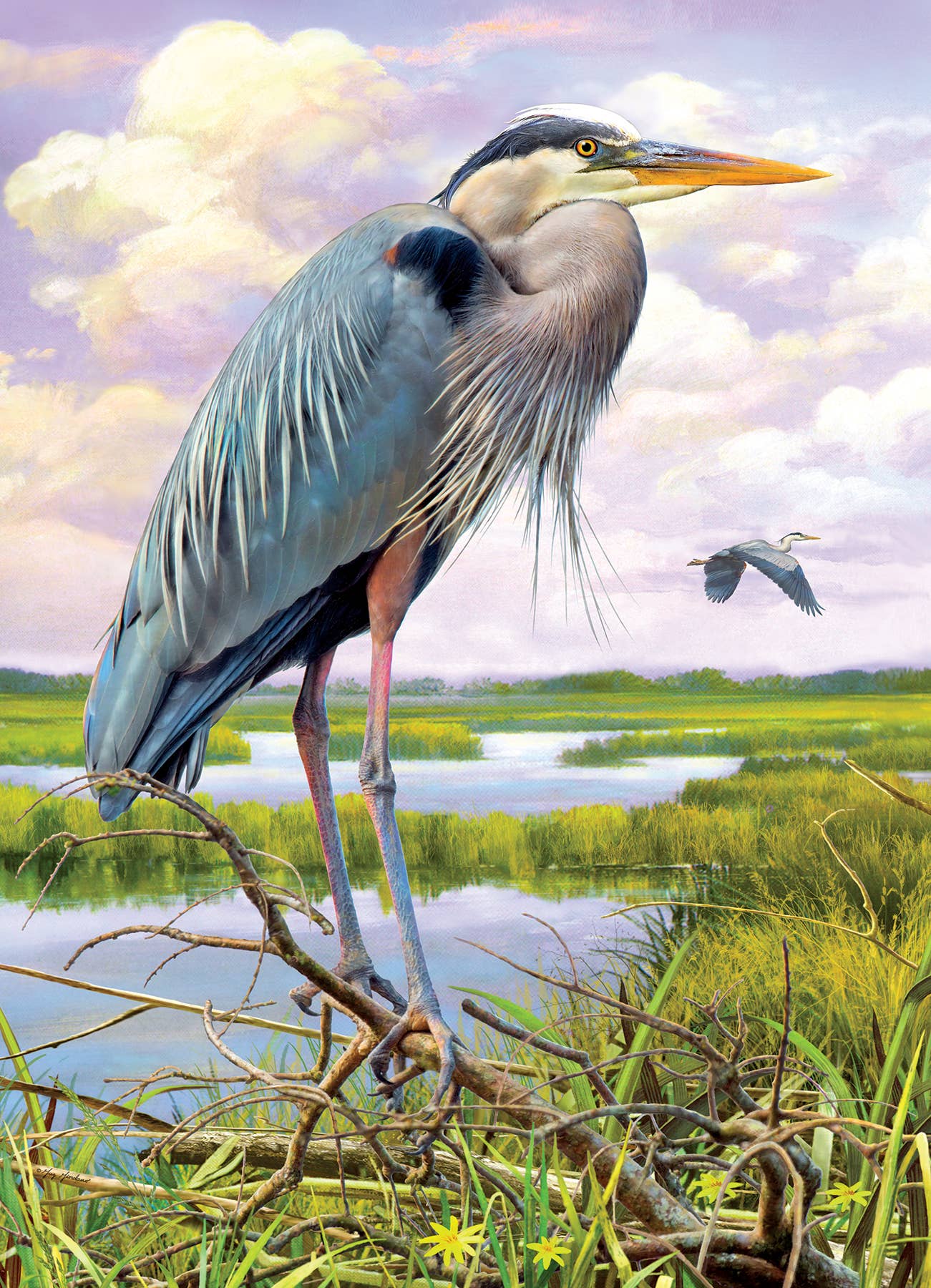 Outset Games and Cobble Hill Puzzles - Vente Puzzle – adulte - Puzzle Heron 1000 pièces1