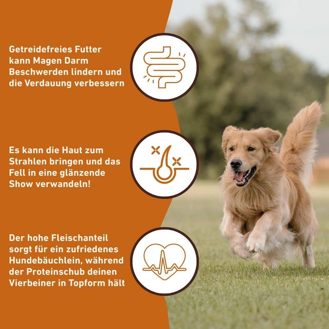 WILDFANG - Vente Nourriture – chien - Nourriture sèche adulte sans céréales à base de bœuf Angus7