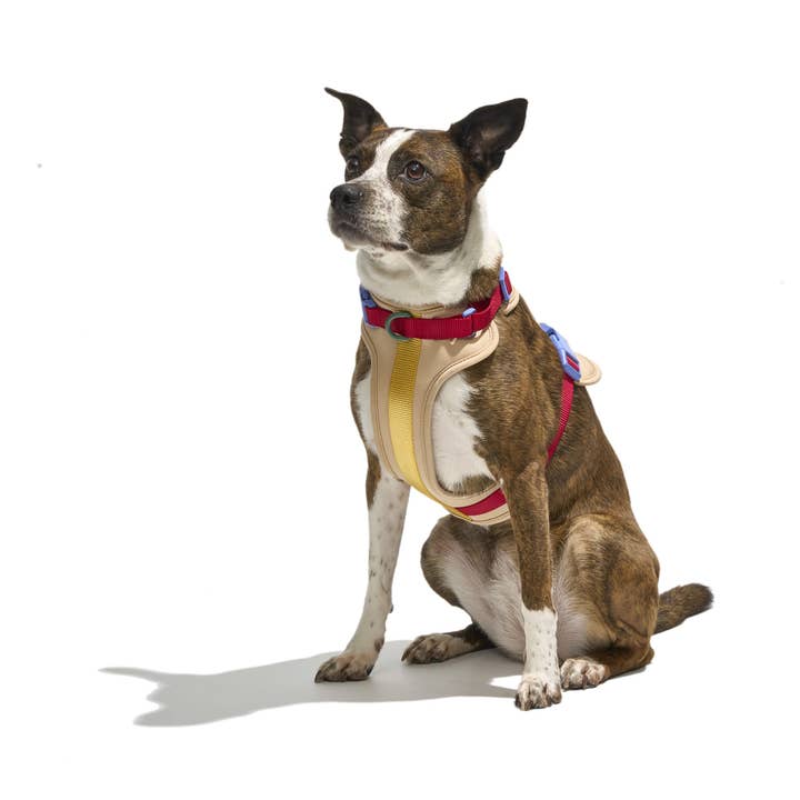 Wild One - Wholesale Pet Harness - Dog - Harness66