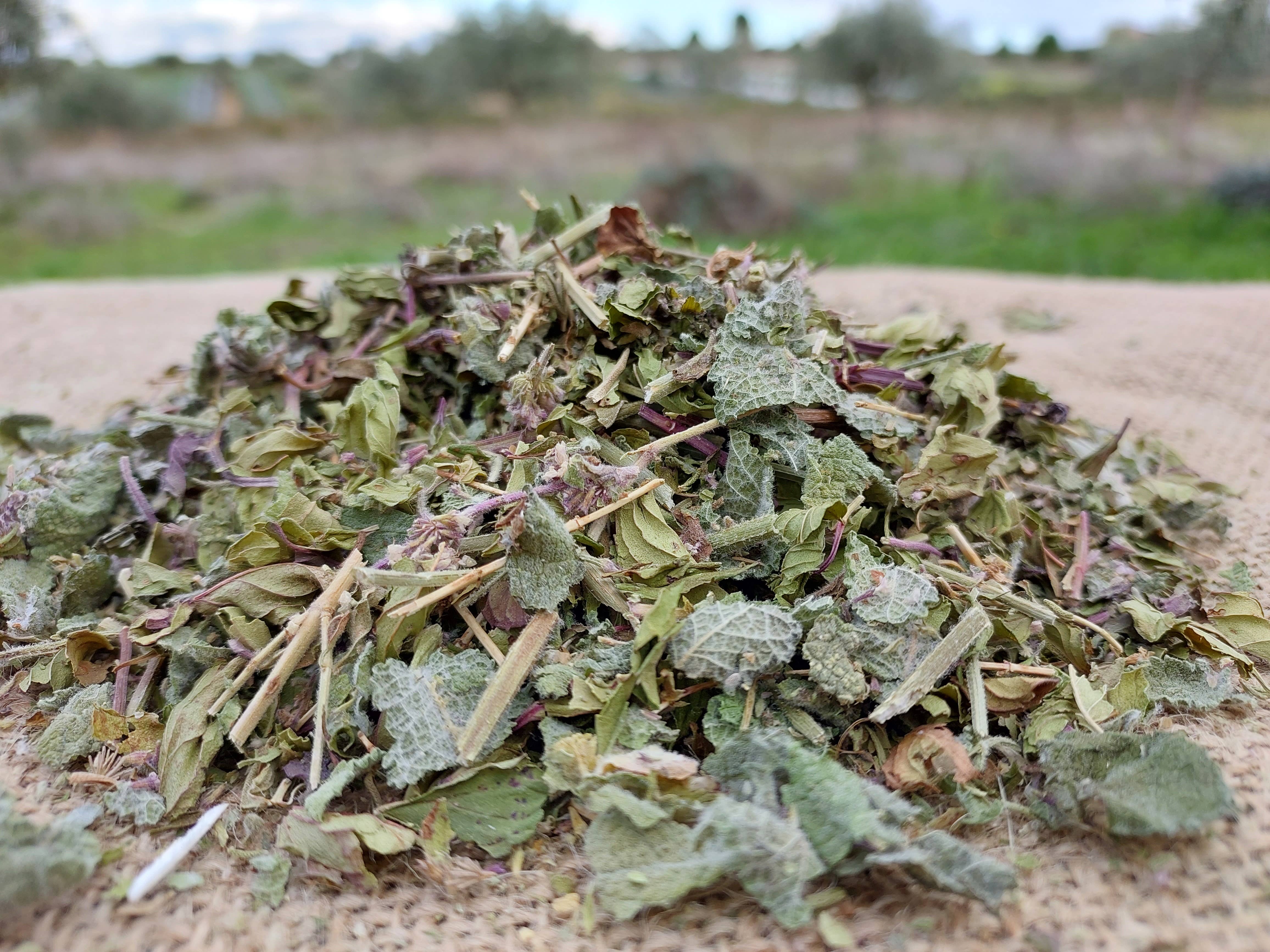 Ervas da Zoé - Wholesale Health/Detox Tea - 46. Herbal Blend Tea “Southern Winds” Bio 40g1