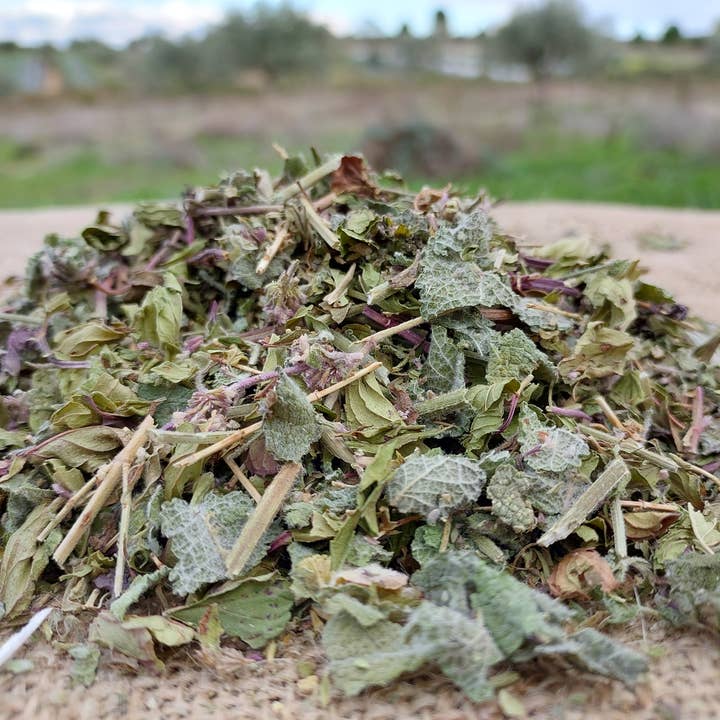 Ervas da Zoé – Engroshandel Sundheds-/detox-te – 46. Urteblanding te „Southern Winds“ Bio 40g1