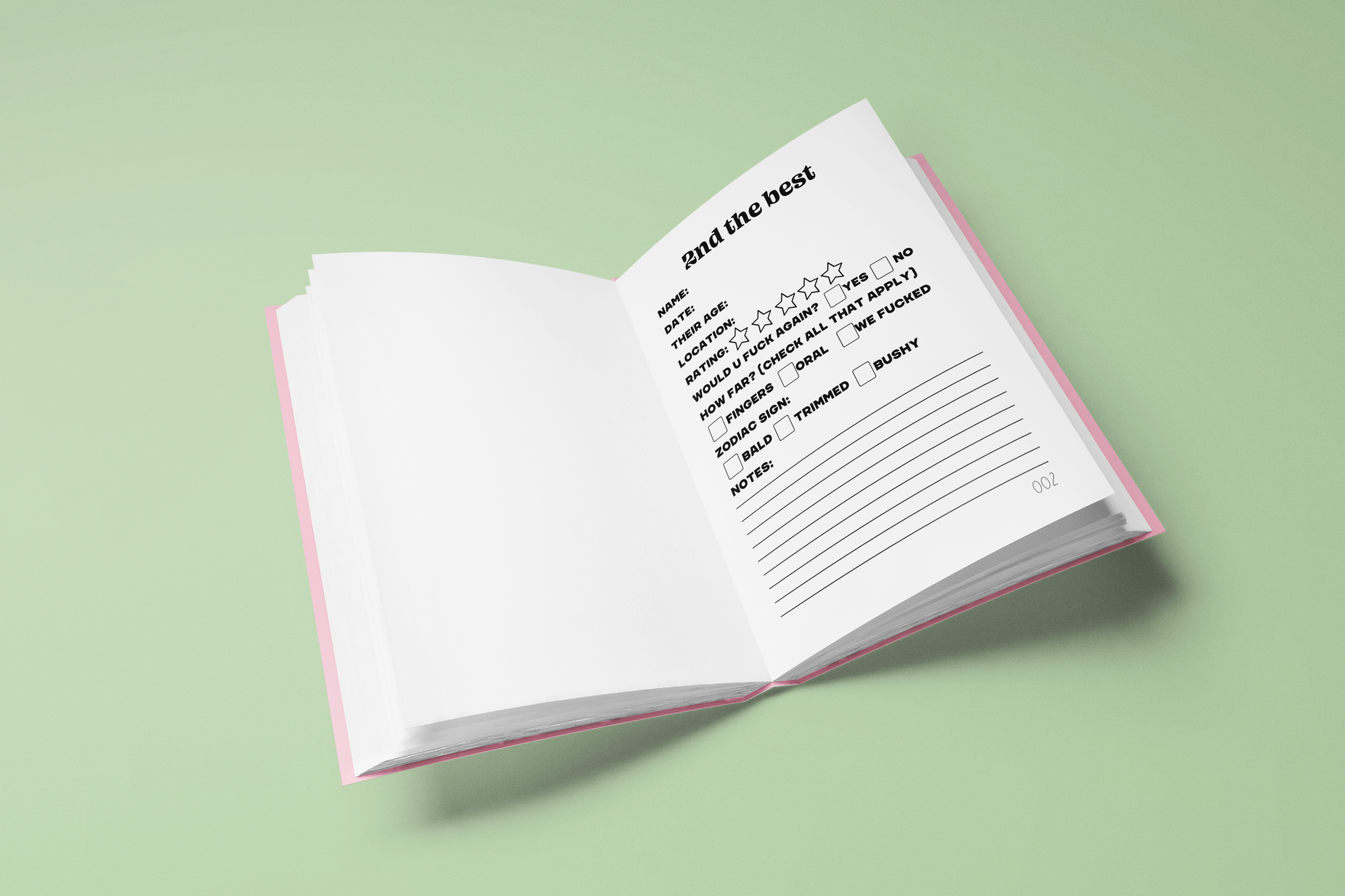 That’s So Andrew - Wholesale Journal/Diary - To All The Boys - Sex Diary (TikTok viral)2