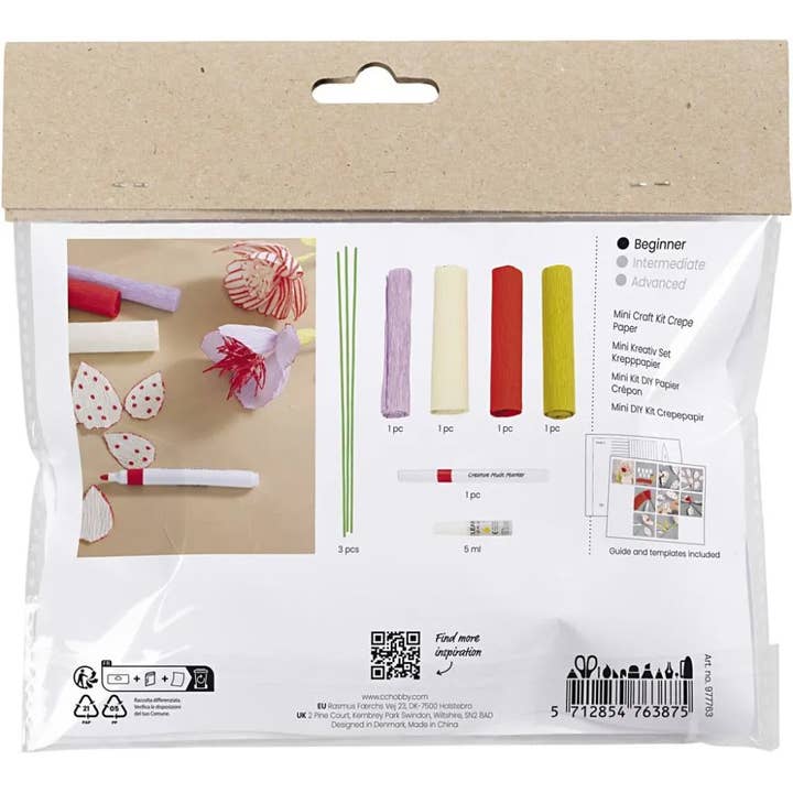 Hobbygroep - Wholesale DIY Craft Kit - CC Mini Hobby Set Crepe Paper Flowers Pastel Colors1