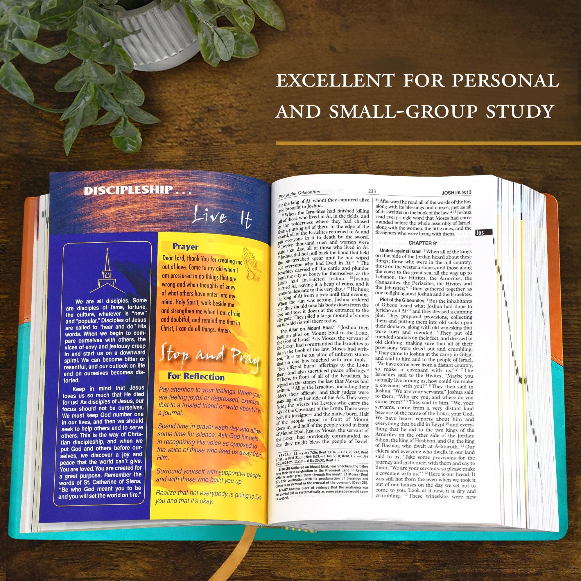 Catholic Book Publishing - Vente Livre sur la religion - Nouvelle Bible catholique pour les jeunes - Édition cadeau5