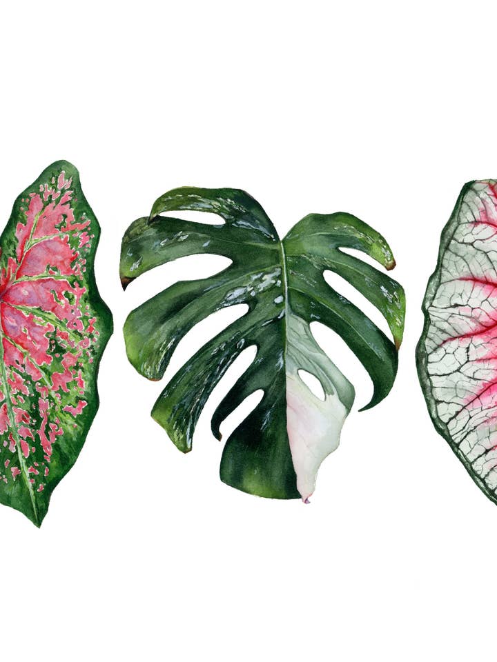 Tropical Trio Leaves Print – Watercolor Botanical Art for wholesale by Art by Emma Lian