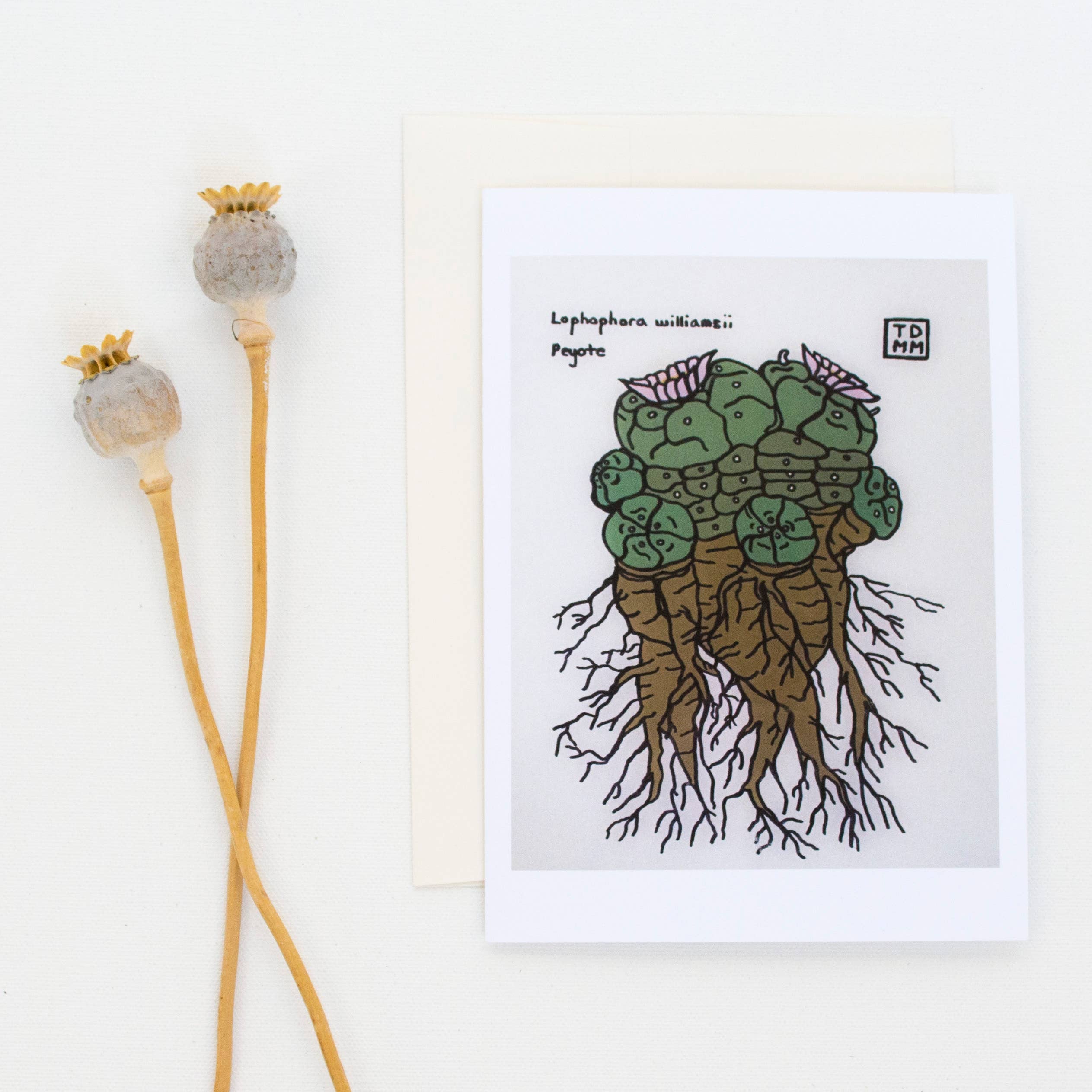 Sonoran Witch Boy - Wholesale Everyday Greeting Card - Peyote Greeting Card0