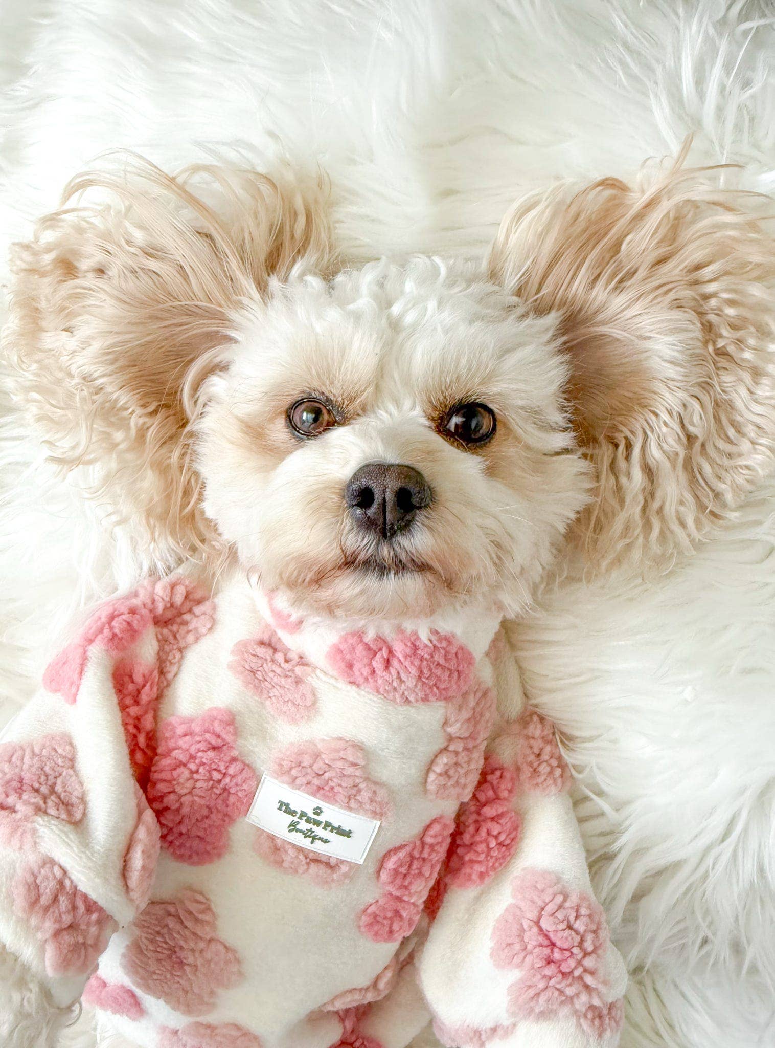 The Paw Print Boutique - Wholesale Pet Coat - Dog - The Peony Pink Floral Fleece16