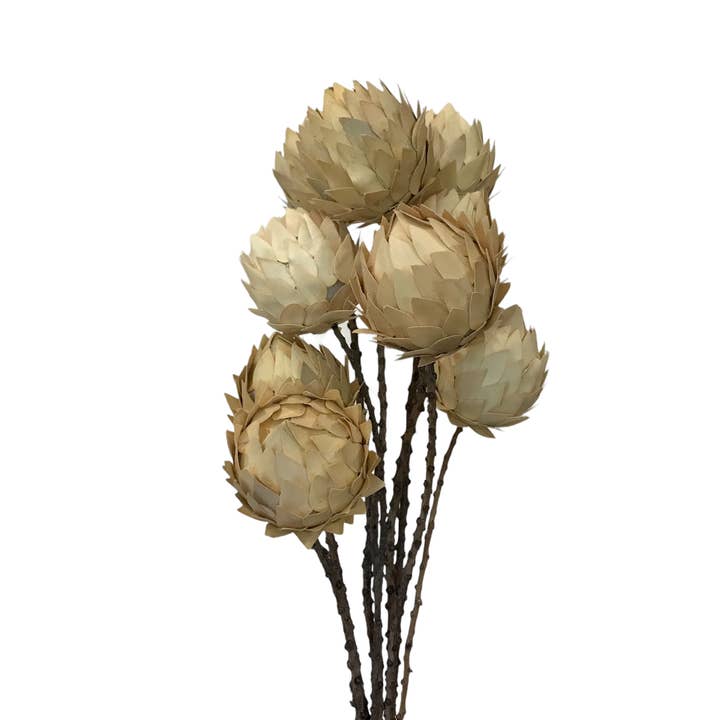 Wilco Home - Wholesale Dried/Pressed Flowers - 9 Pc. Palm Artichoke on Natural Stem Drop-in Bouquet/Spring4