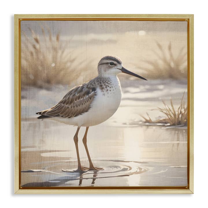 Stupell Industries – wholesale Wall sign – Sunlit Sandpiper in Shallow Water - Framed Wall Art24