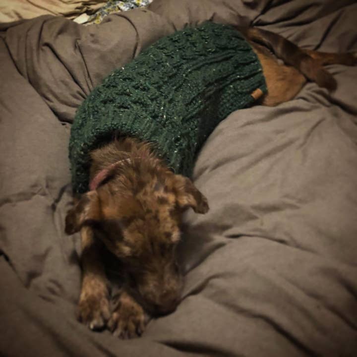 Leni Knits Limited - Wholesale Pet Sweater - Dog - The Original Honeycomb Cable Knit Dog Sweater10