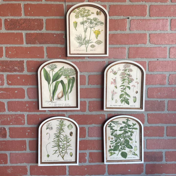 Set med 5 välvda örttavlor i ram för wholesale av LAND OF COTTON