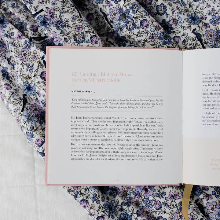 The Daily Grace Co - Wholesale Book - Adult - Steadfast Motherhood | 60 Days of Abiding in Christ