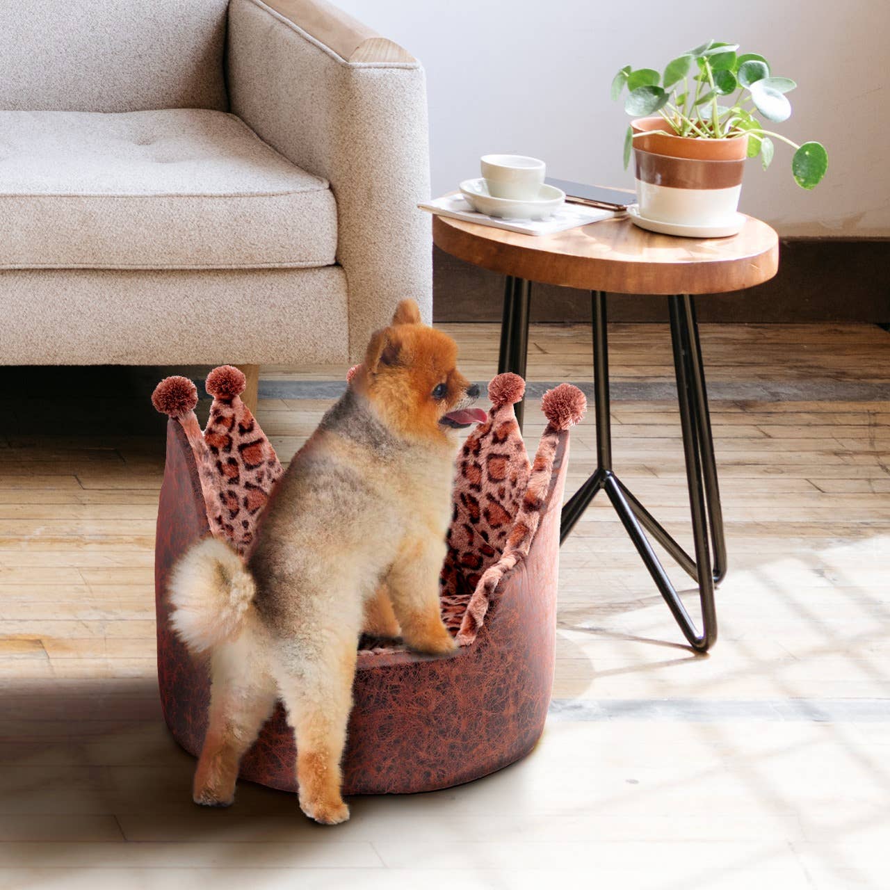 Precious Tails - Wholesale Pet Bed - Cat/Dog - Precious Tails Leopard Print Crown Pet Bed8