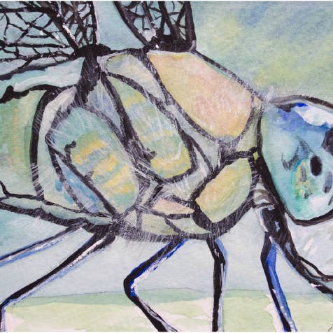 Carte de vœux en forme de libellule, blanc à l'intérieur #KC4C pour la vente par Kellie Chasse Fine Art