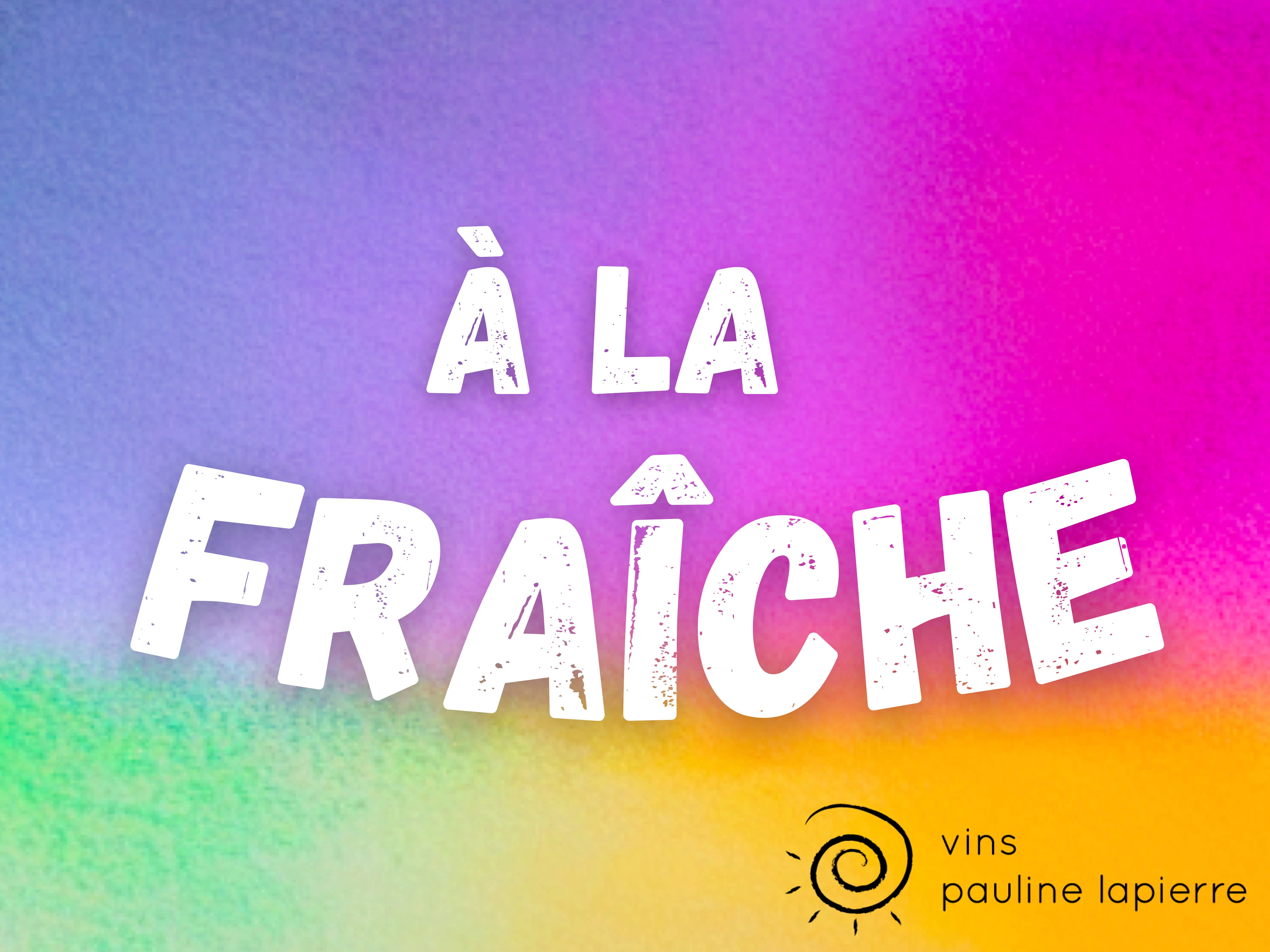 Vins Pauline Lapierre - Wholesale Red Wine - In the cold2