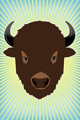 Resonym - Wholesale Card Game - Buffalo: The Name Dropping Game2