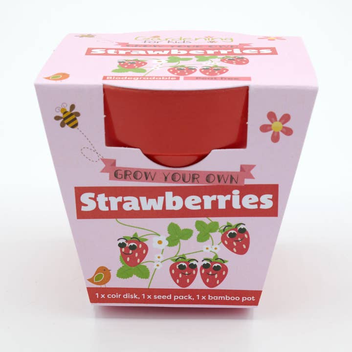 Children's Grow Your Own Strawberries Growing Kit for wholesale by Gardening for Kids Ltd