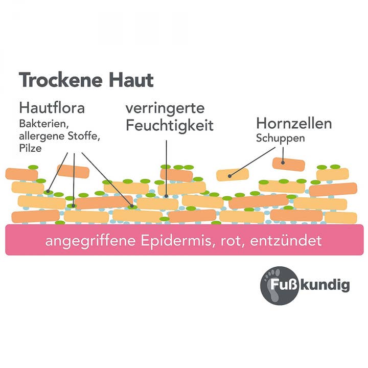 Fußkundig – Großhandel Fußcreme – Fußschweiss Adé Pflegeschaum 150ml