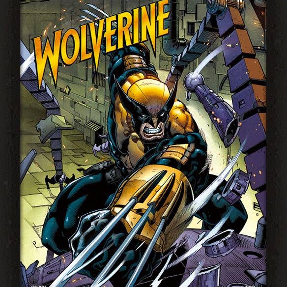 Wolverine (Berserker Rage) 3D Lentikular für den Großhandel von Pyramid International