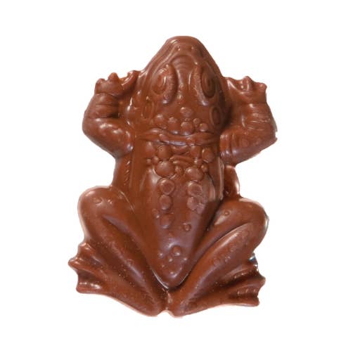 Firdos Market - Wholesale Chocolate - Harry Potter™ Chocolate Frogs1