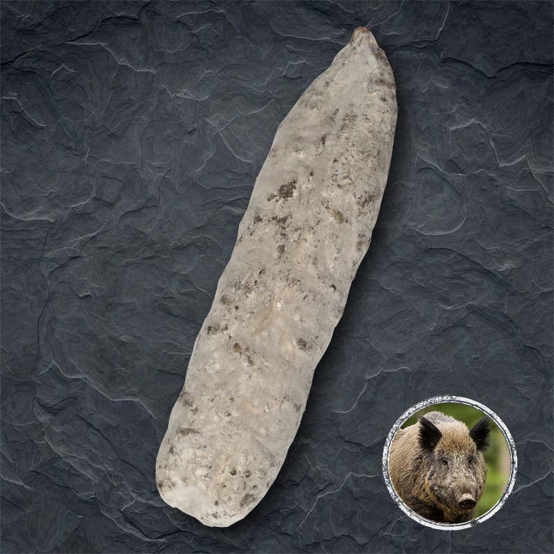 laboutiquedessaucissons - Vendita all'ingrosso Salame - Salsiccia di maiale e cinghiale1