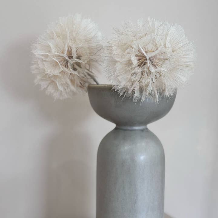 white Dandelion dried individually for wholesale on Faire
