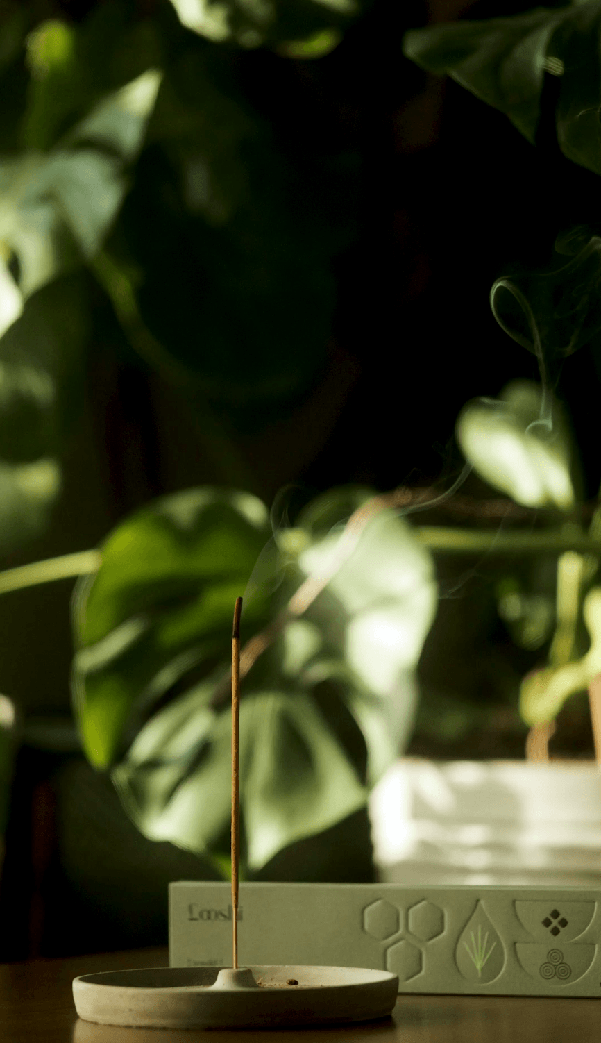 Looshi – wholesale Incense – REWILD Natural Incense Sticks with Vetiver, Musk, Redwood3