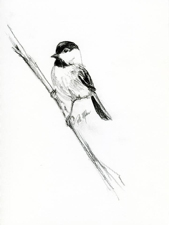 Chickadee (Conjunto de 8) por atacado de Fine Lines