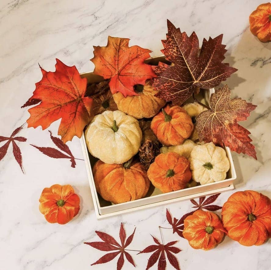 Kate Tuesday Jewelry - Wholesale Decorative Tabletop Object - Fall Velvet Pumpkin Sets1