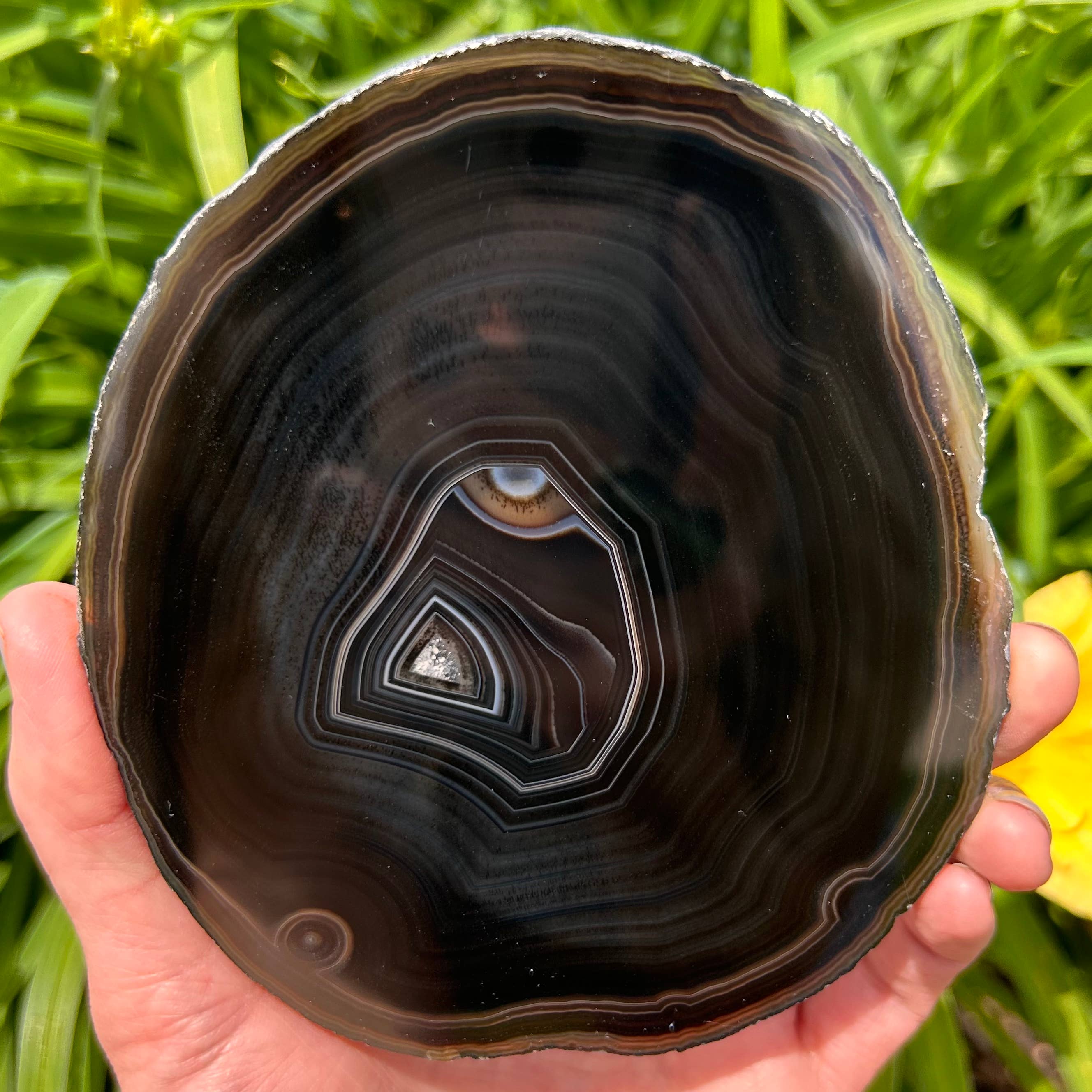 Quasar Gems USA - Vendita all'ingrosso Pietra/cristallo spirituale - Fette di Agata colorate11