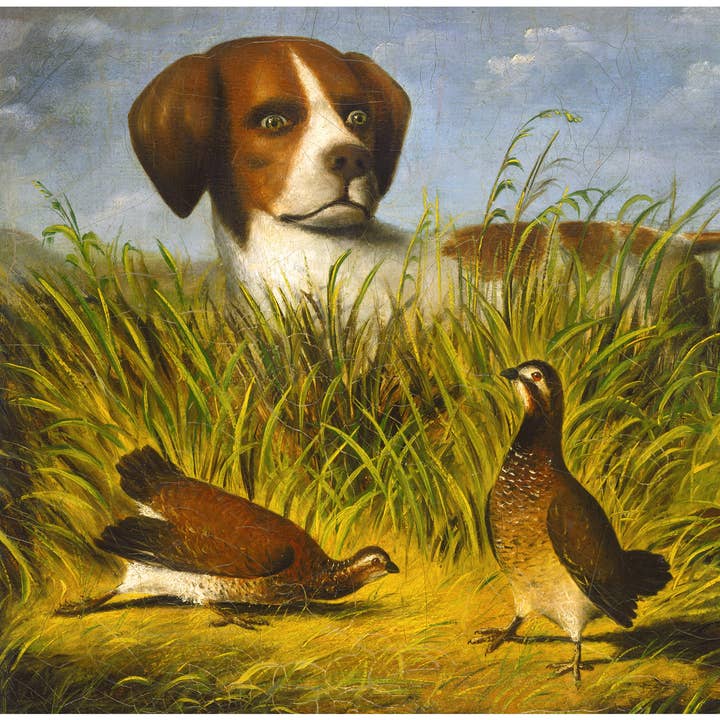 Vintage fågel dog porträtt | Engelsk pekare hundmålning | Jakthund väggkonst | Fågelhund med ripa | Antik djurkonst | D.G. Stouter för wholesale av Rock Paper Scissors Wall Art