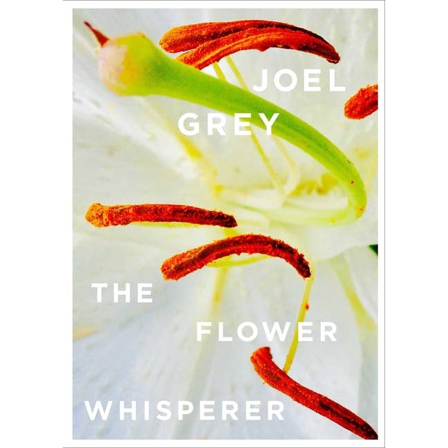 Flower Whisperer for wholesale by Bradley's Book Clearance