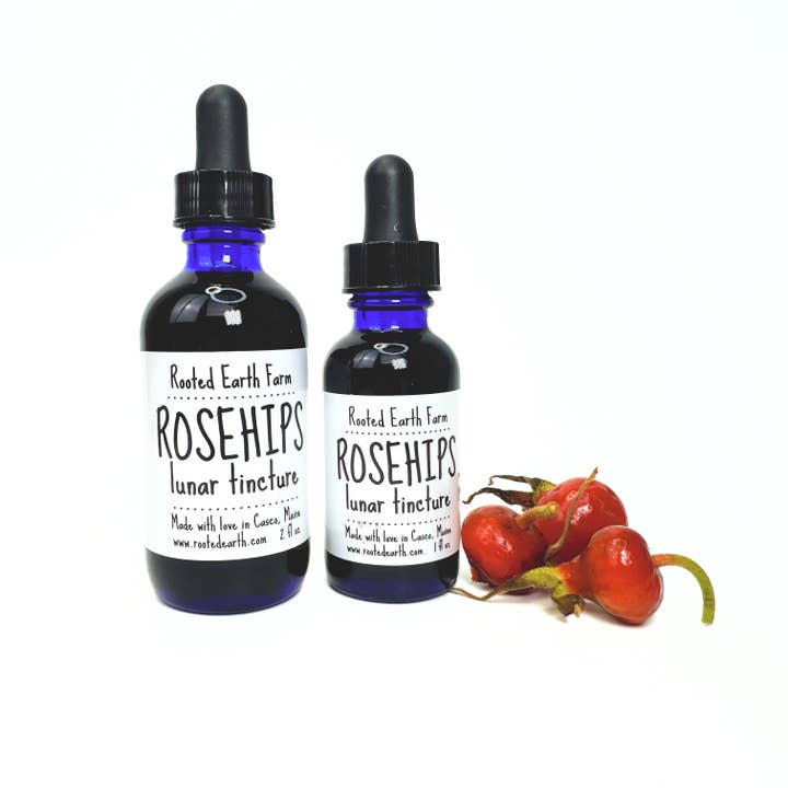 Rosehip Tincture - 2 Size Options - Rose Hip Extract for wholesale by Rooted Earth Farm + Apothecary