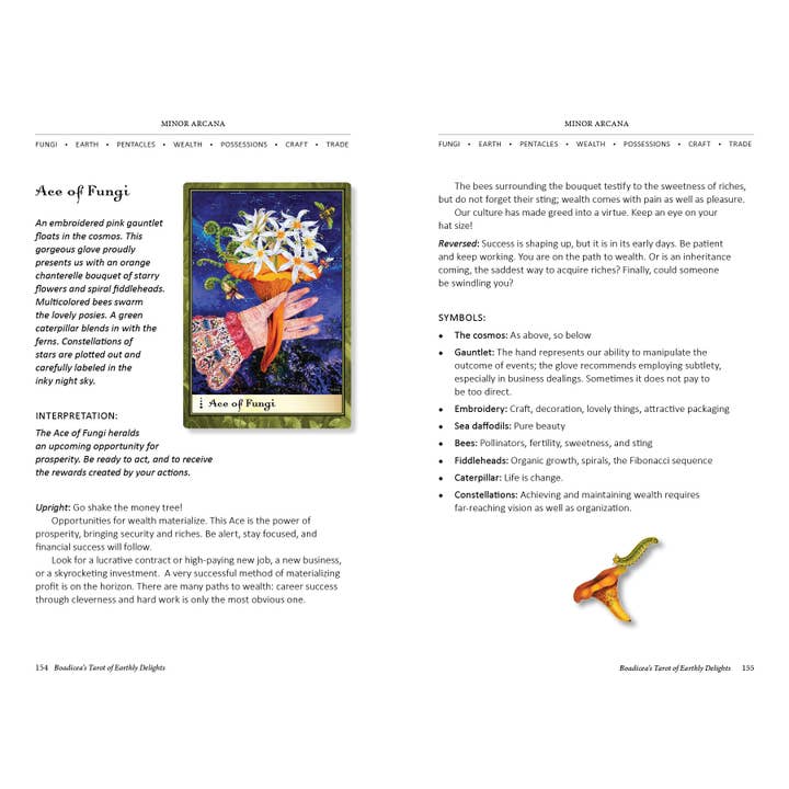 Schiffer Publishing - Wholesale Tarot Cards - Boadicea's Tarot of Earthly Delights8