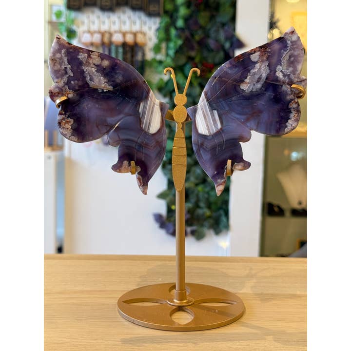 Blauwe Bloem Agaat Vleugels op Standaard - 492g - 22cm x 19cm voor wholesale door Crystal Cove Minerals