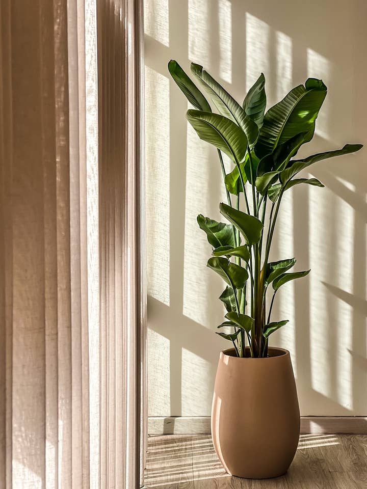 High Drop handgjord kruka i modern stil för wholesale av Branca de Neve Home Jungle