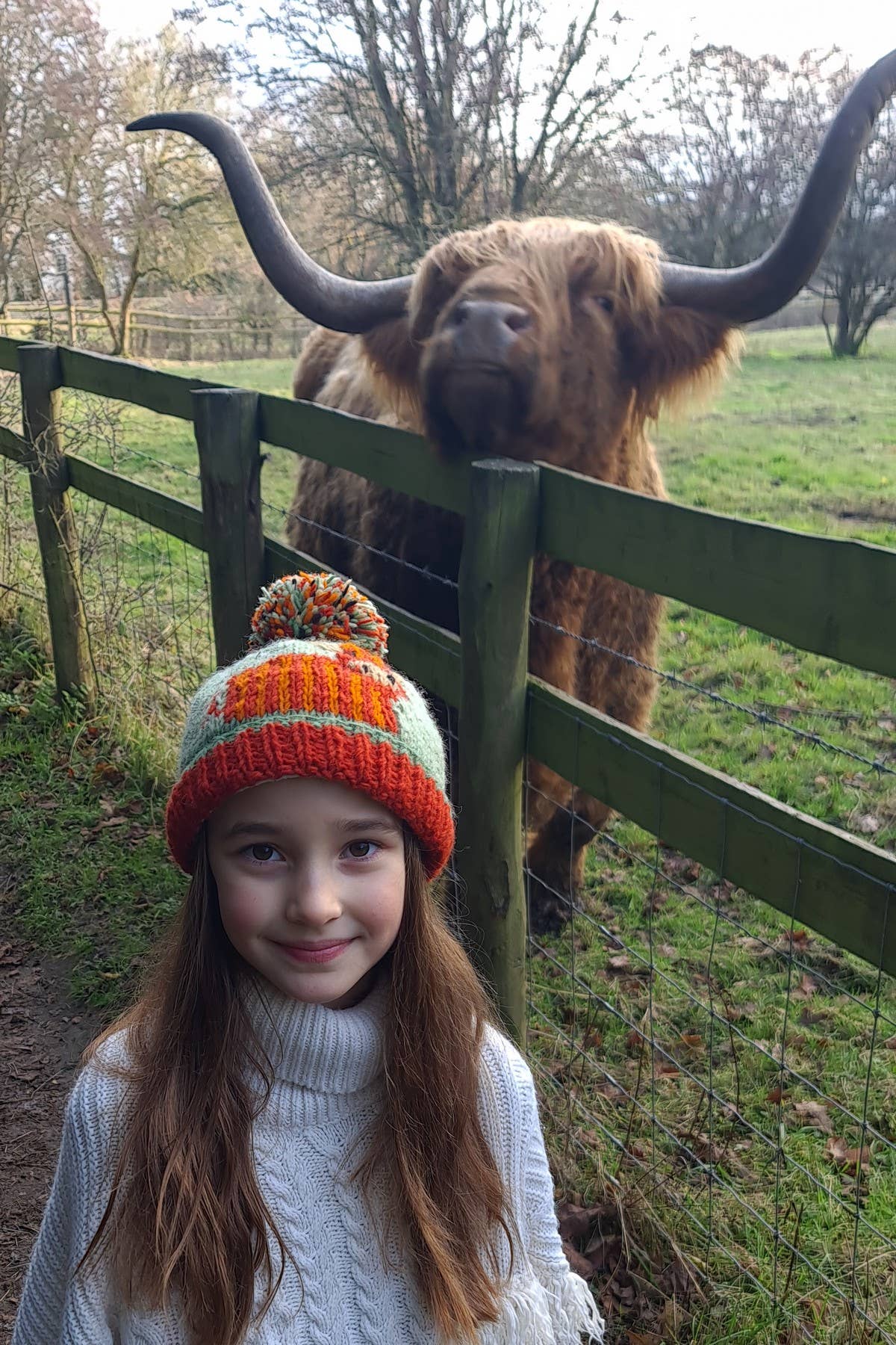 One Colour Kids Knitted Wool Animal Bobble Beanie Hat Highland Cow for wholesale on Faire2