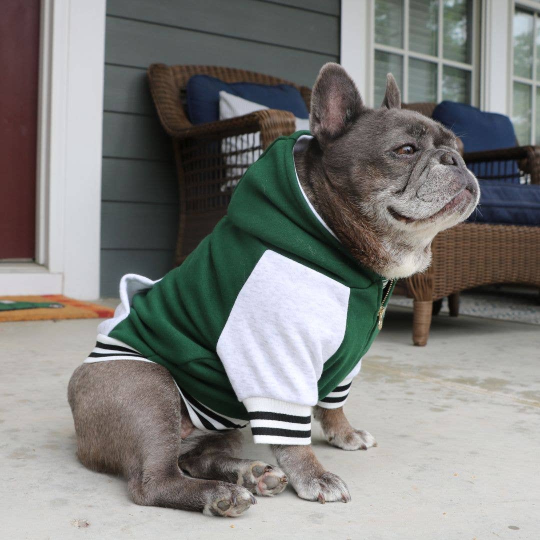 Frenchie - Wholesale Pet Hoodie - Dog - Frenchie Dog Hoodie - Emerald City Varsity11