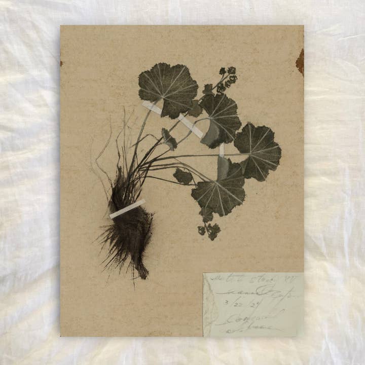 lille undersøgelse nr. VII for engroshandel hos Hannah Winters Art