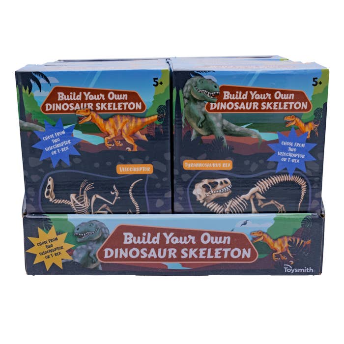 Toysmith - Wholesale Toy Set - Kids - Toysmith BYO Dinosaur Skeleton