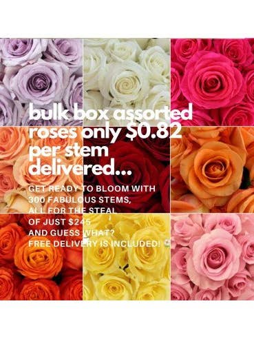 Assorted Roses 300 Stems Growers Assortment BULK BOX for wholesale by Florasource