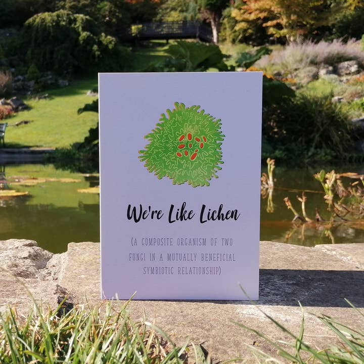 We're Like Lichen - Valentine's Day Lover Blank Greetings Ca for wholesale by Little Plover