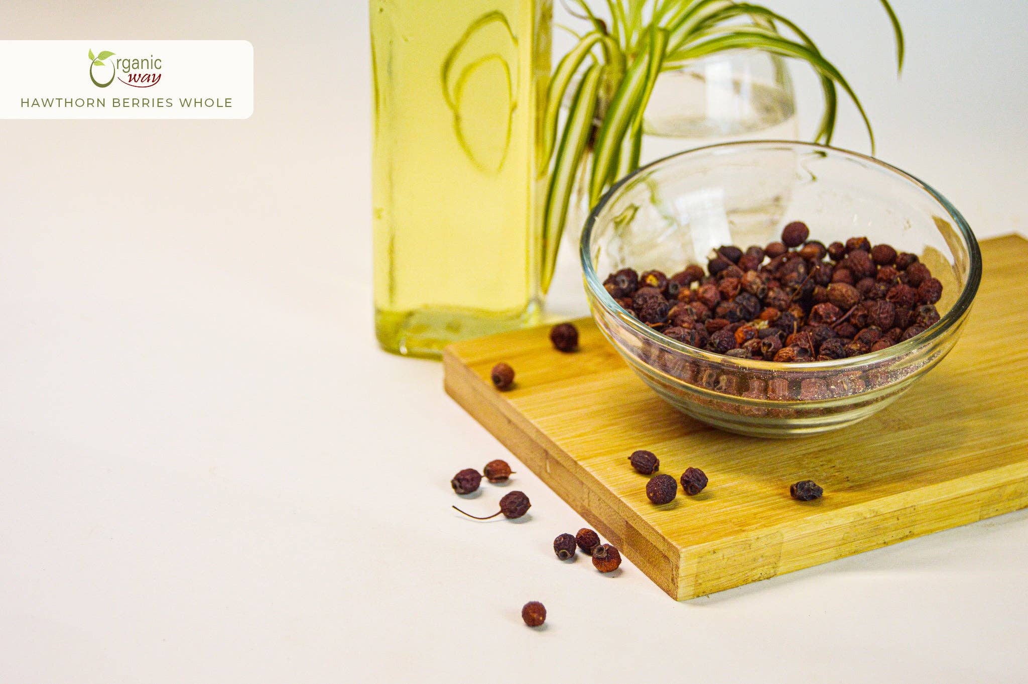 Organic Way LLC - Wholesale Loose Tea - Hawthorn Berries Fruit Whole (Crataegus monogyna) - European Wild-Harvest | Kosher Certified | Vegan, Non GMO & Gluten Free | USDA Certified | Origin - Albania4