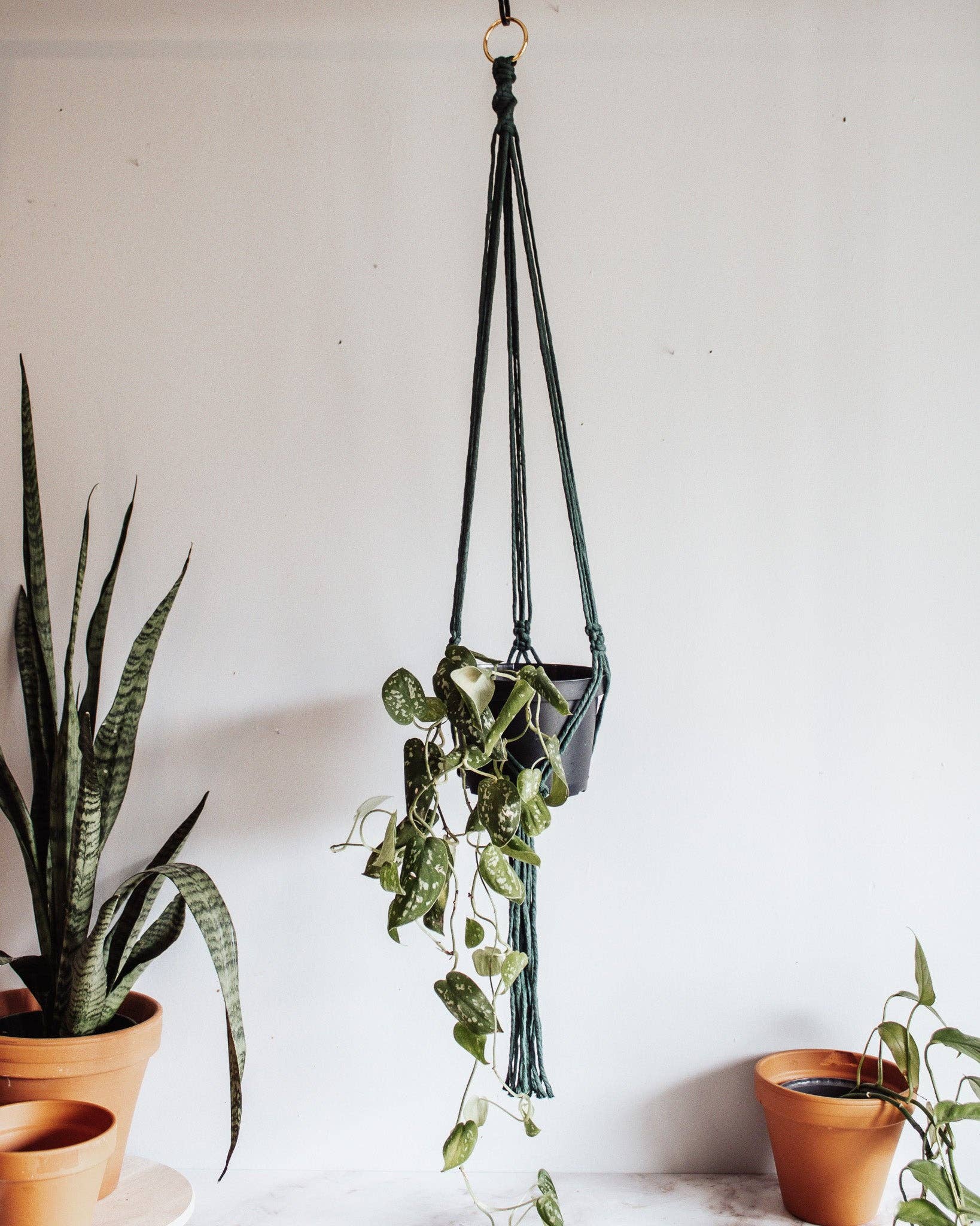 Modern Bo Studio - Wholesale Hanging Planter - Basic Macrame Plant Hanger3