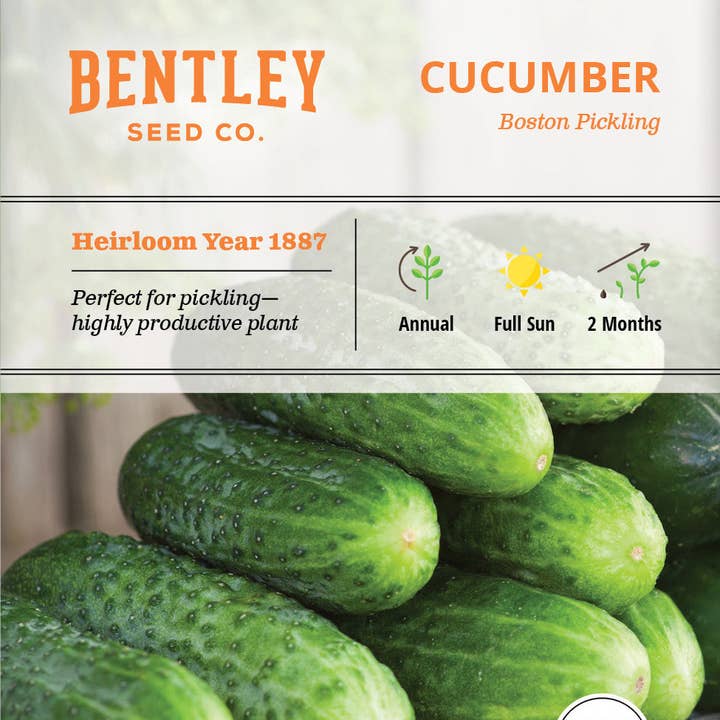 Bentley Seed Co. - Wholesale Plant Seeds - Cucumber, Boston Pickling Seed Packets