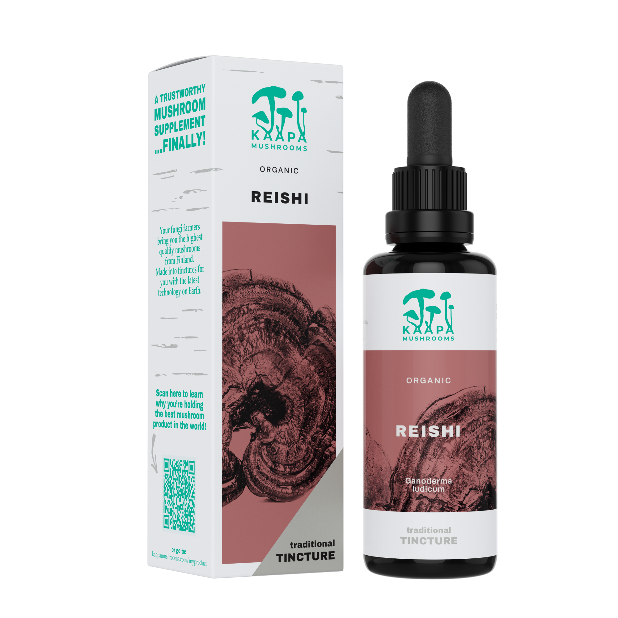 Kaapa Mushrooms UK - Wholesale Tincture - Reishi Mushroom Extract Tincture - Organic - 50ml0